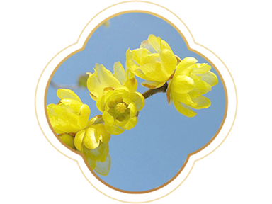 產(chǎn)品名稱(chēng)六