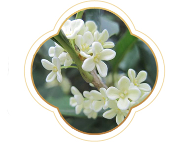 產(chǎn)品名稱(chēng)六