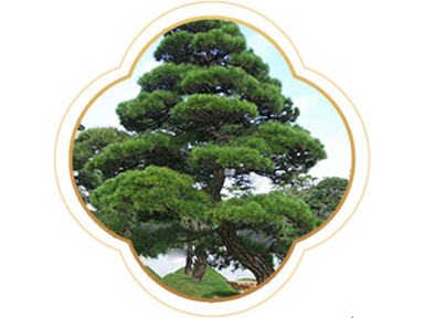 產(chǎn)品名稱(chēng)六